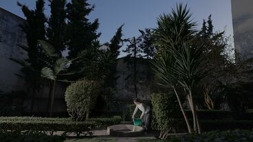 Galeriebild des Projekts تَناثُر البحر (Scattered Sea) 