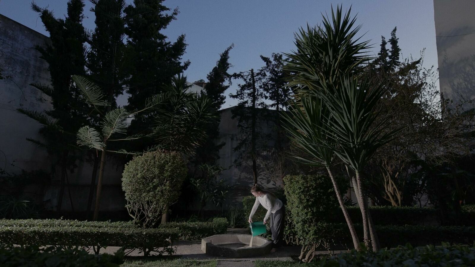 Galeriebild des Projekts تَناثُر البحر (Scattered Sea) 