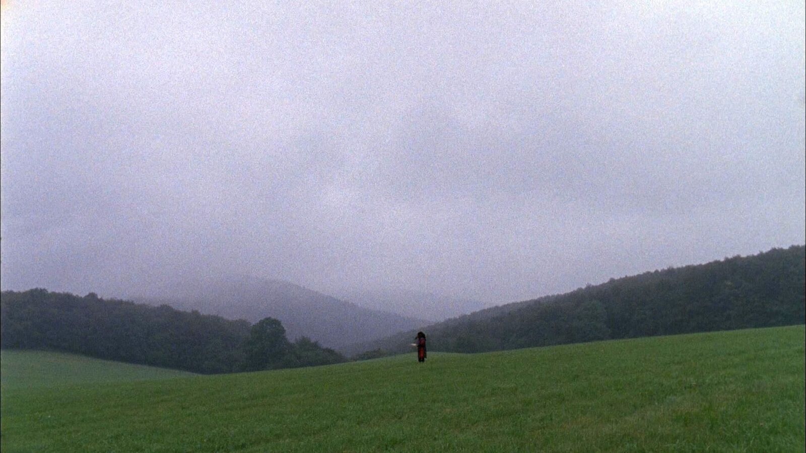 Galeriebild des Projekts ATROPA