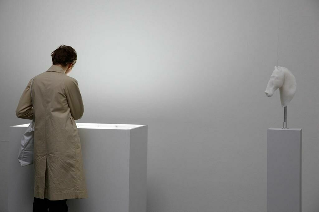 Titelbild des Projekts Pferdegesicht