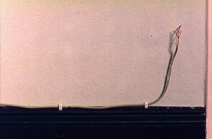 Galeriebild des Projekts Die Chomsky-Hierarchie