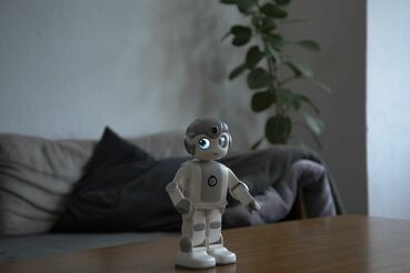 Titelbild des Projekts Robin – Wie technologische Systeme zur Erosion von individueller Autonomie und Meinungsbildung beitragen
