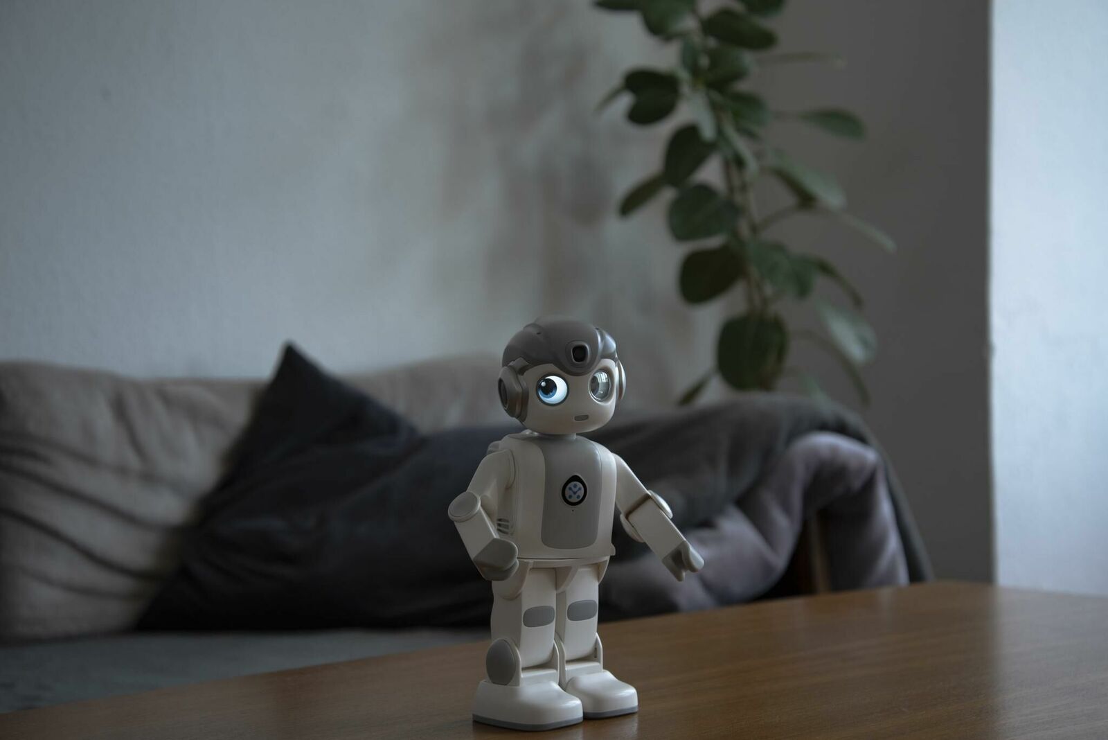 Titelbild des Projekts Robin – Wie technologische Systeme zur Erosion von individueller Autonomie und Meinungsbildung beitragen