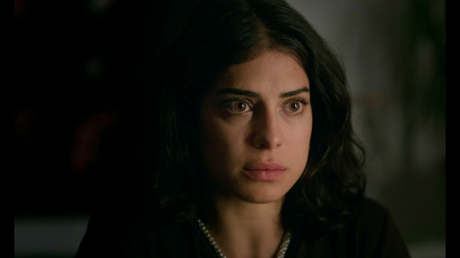 Galeriebild des Projekts Katzenbellen