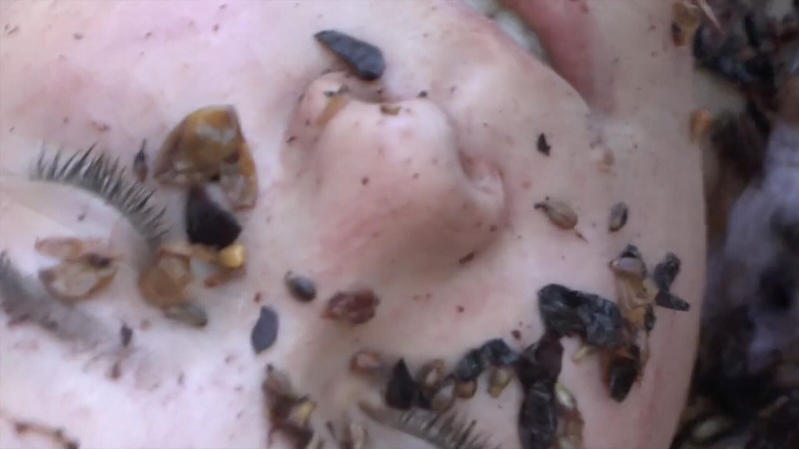 Galeriebild des Projekts Vino Dance