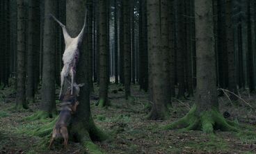 Galeriebild des Projekts M.