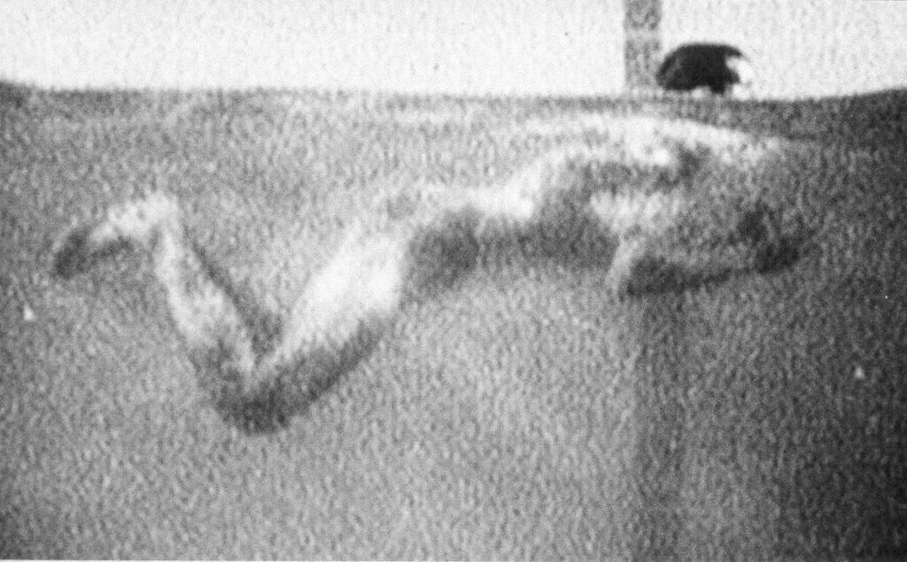 Titelbild des Projekts Verstärker