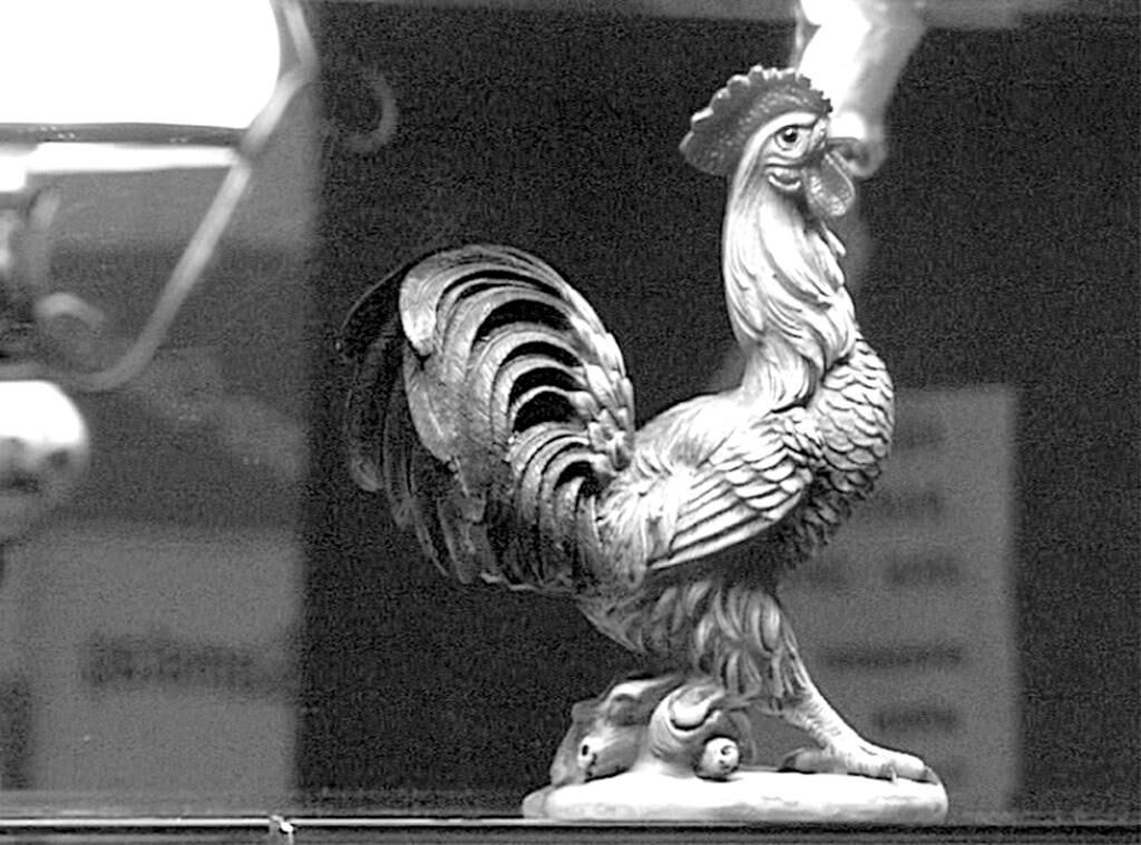 Titelbild des Projekts Hähnchen Ewald 