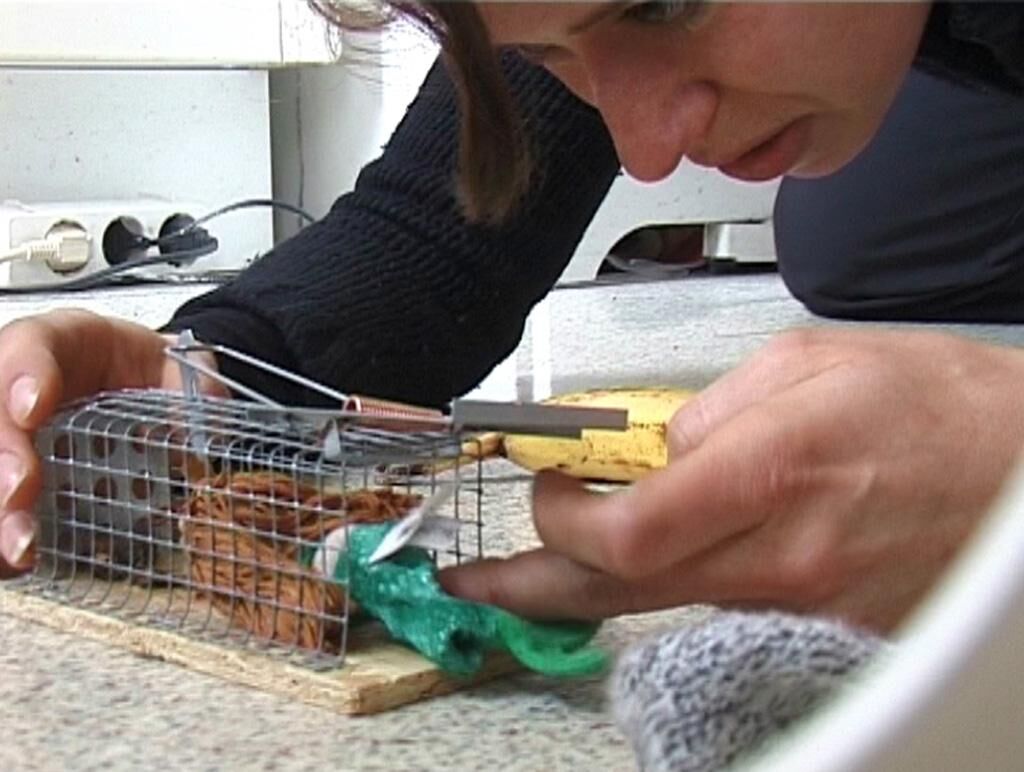 Galeriebild des Projekts Ohne Titel (Sylvie)