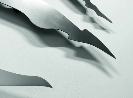 Galeriebild des Projekts Walter Palmer Shot A Lion: The Sequel