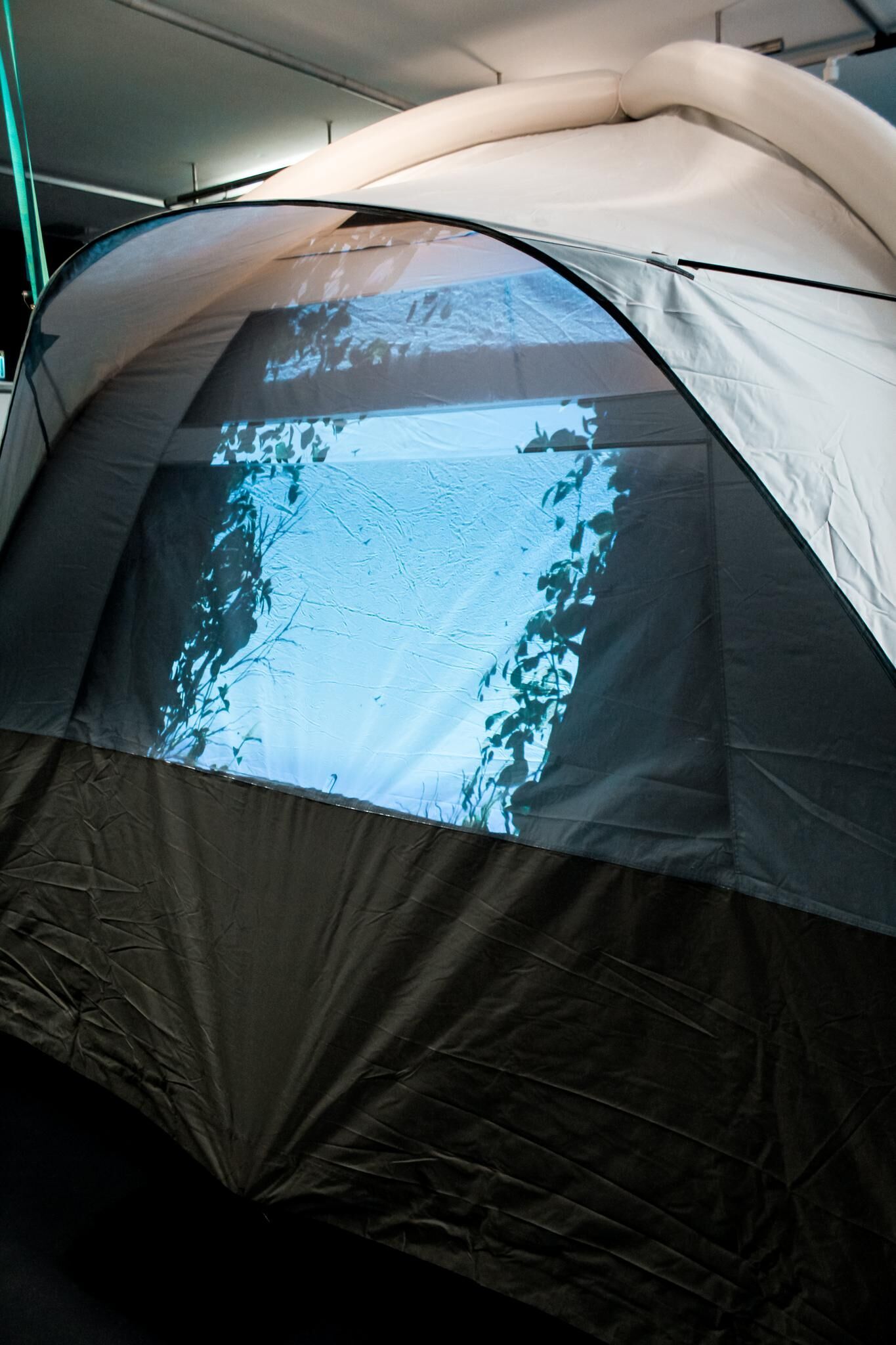 Galeriebild des Projekts Liminal Beings and curs of stages Atavism