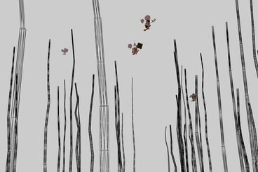 Galeriebild des Projekts The Invisible Warbler