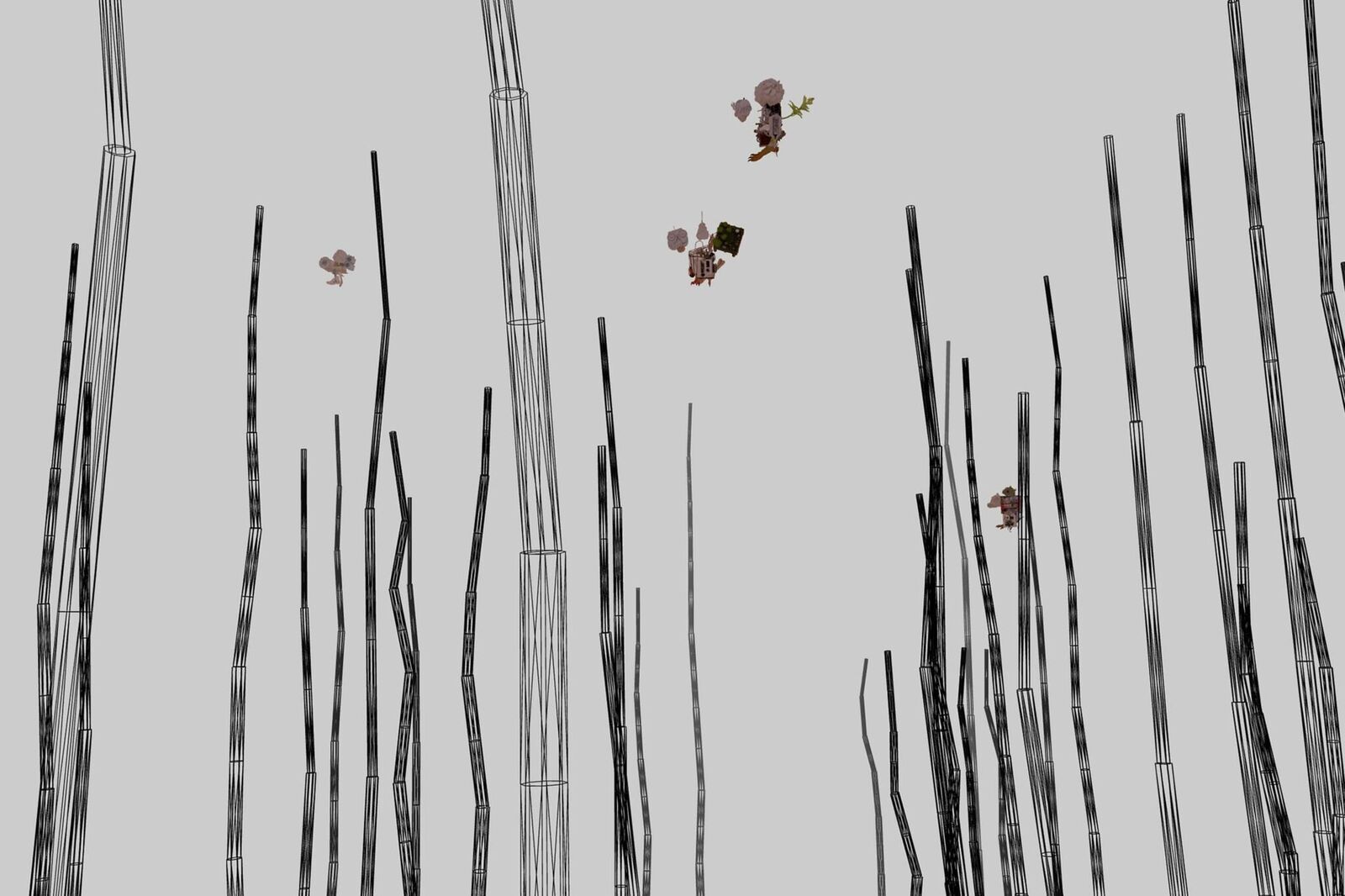 Galeriebild des Projekts The Invisible Warbler