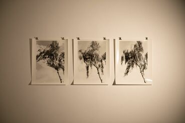 Case #44 MIMIKRY Galeriebild des Projekts Case #44 MIMIKRY