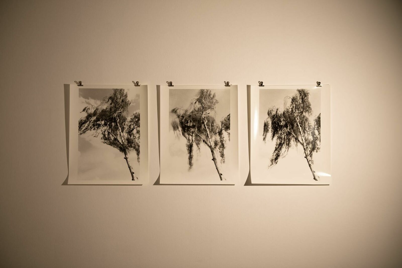 Galeriebild des Projekts Case #44 MIMIKRY