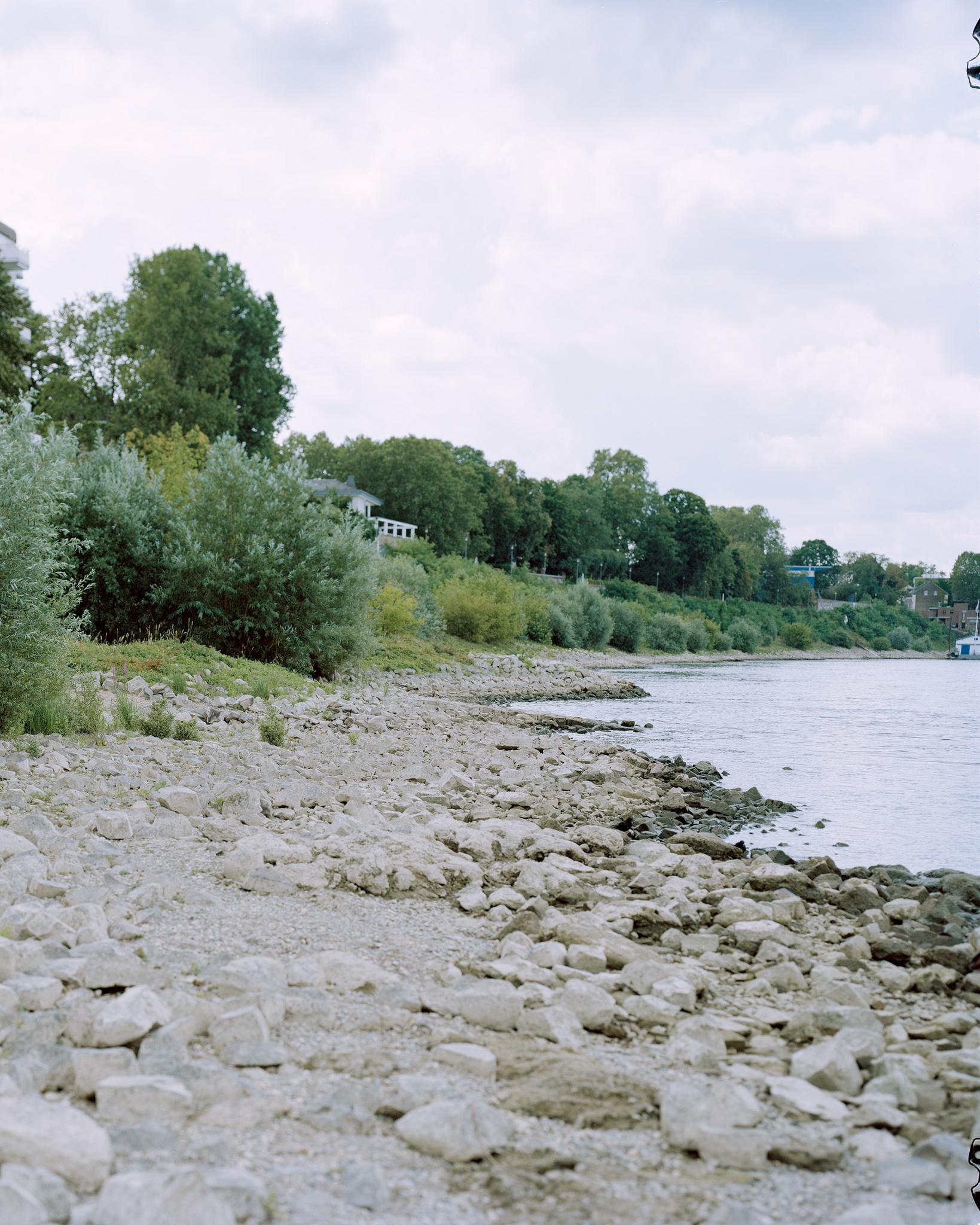 Galeriebild des Projekts Songs of Sanity