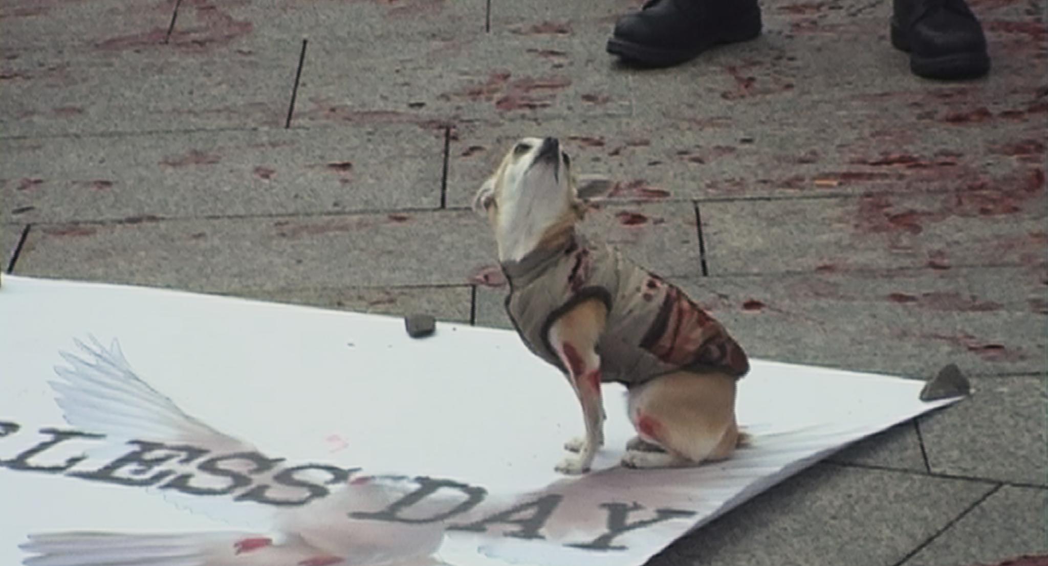 Galeriebild des Projekts Warless Day