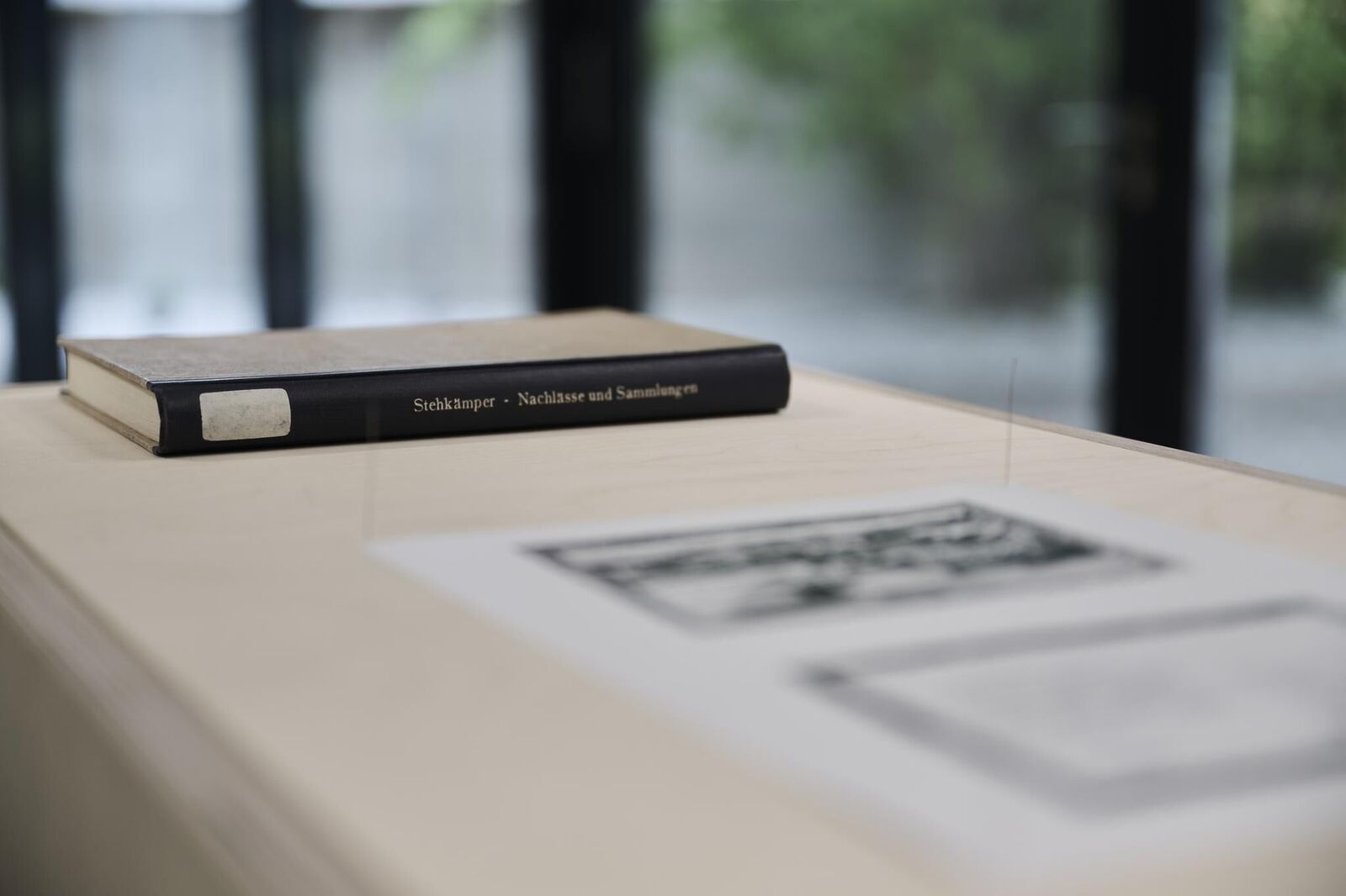 Galeriebild des Projekts Archives & Butterflies