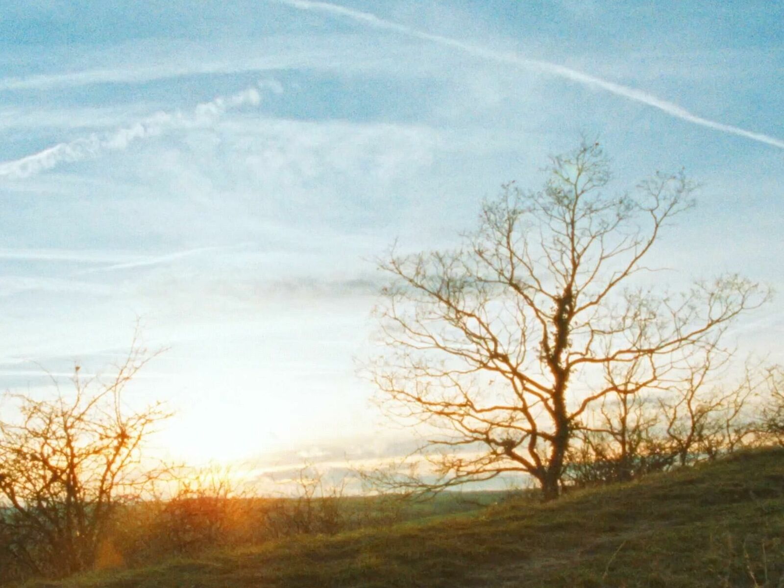 Titelbild des Projekts Ansitzen 