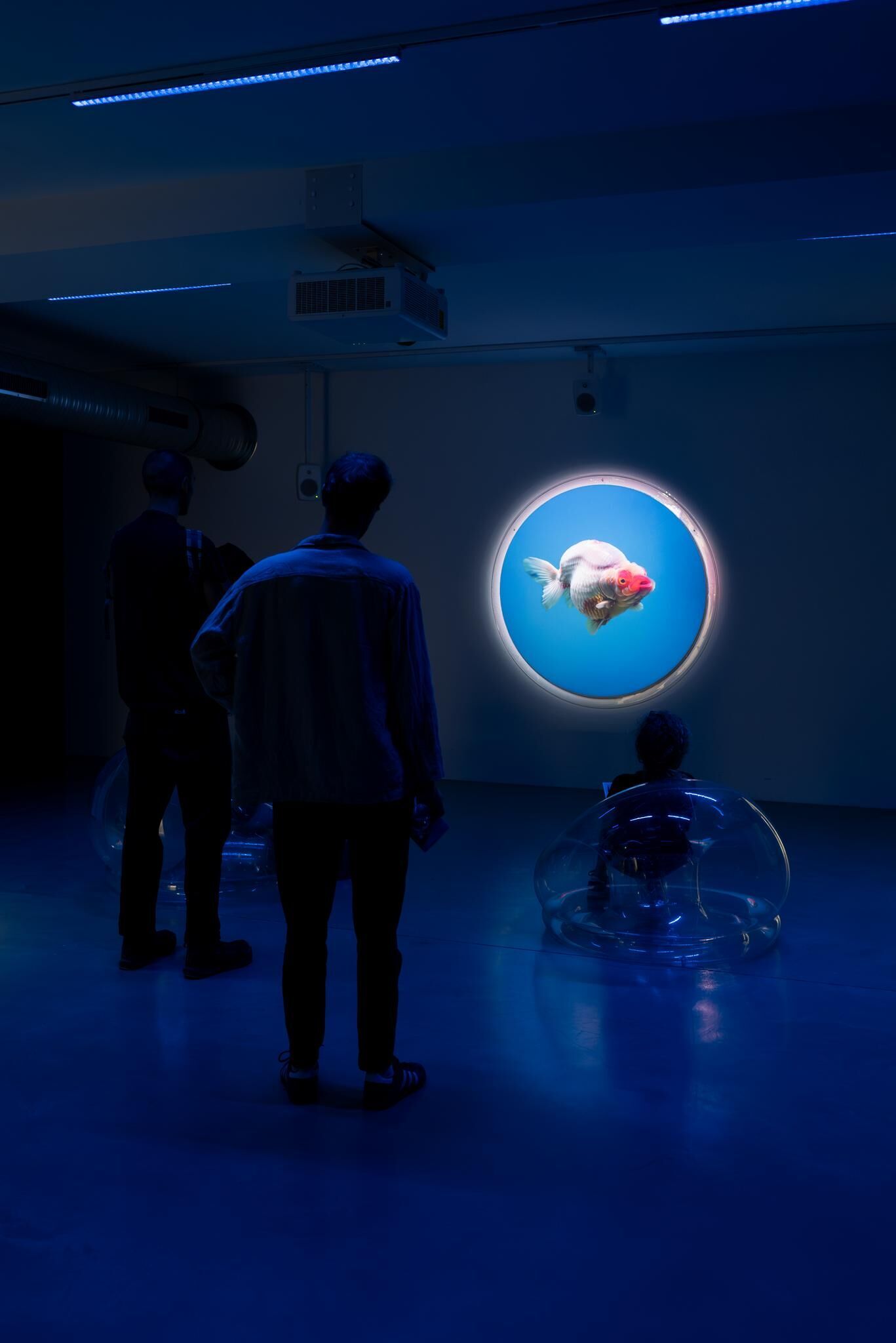 Galeriebild des Projekts Fixing the Rare : Breeder A