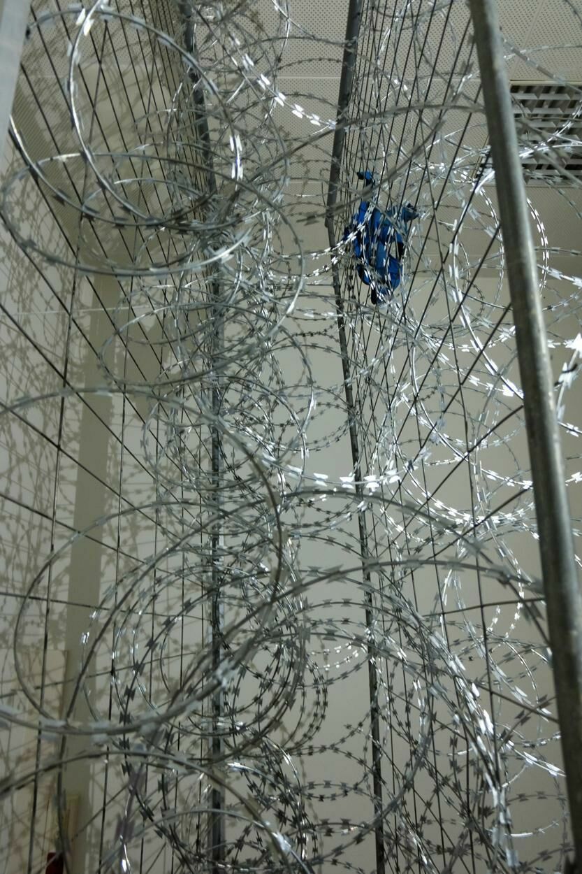 Galeriebild des Projekts Der Zaun