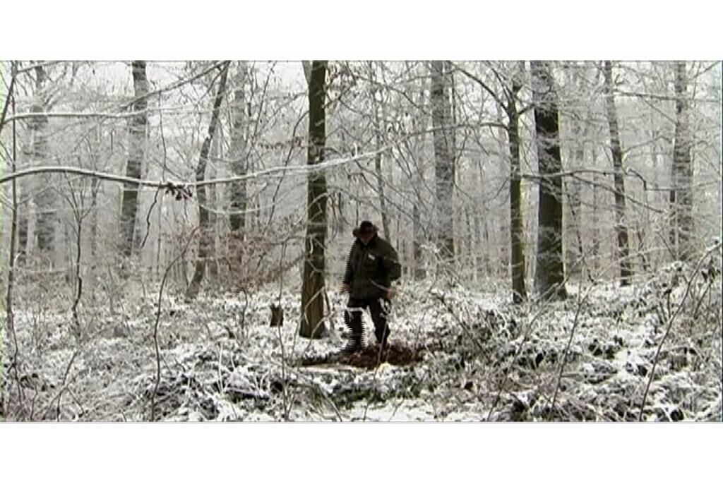 Galeriebild des Projekts Friedwald