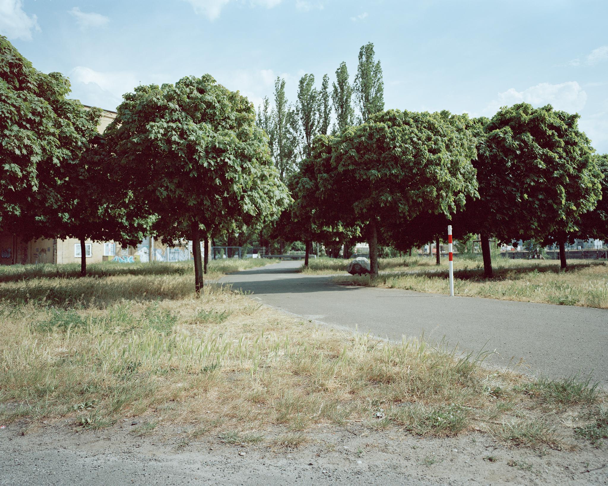 Galeriebild des Projekts Songs of Sanity