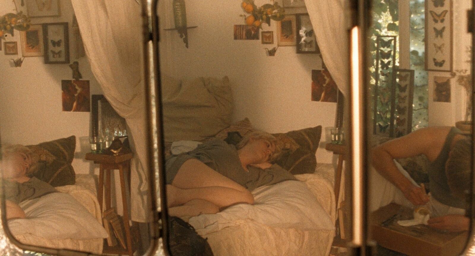 Titelbild des Projekts PEEL