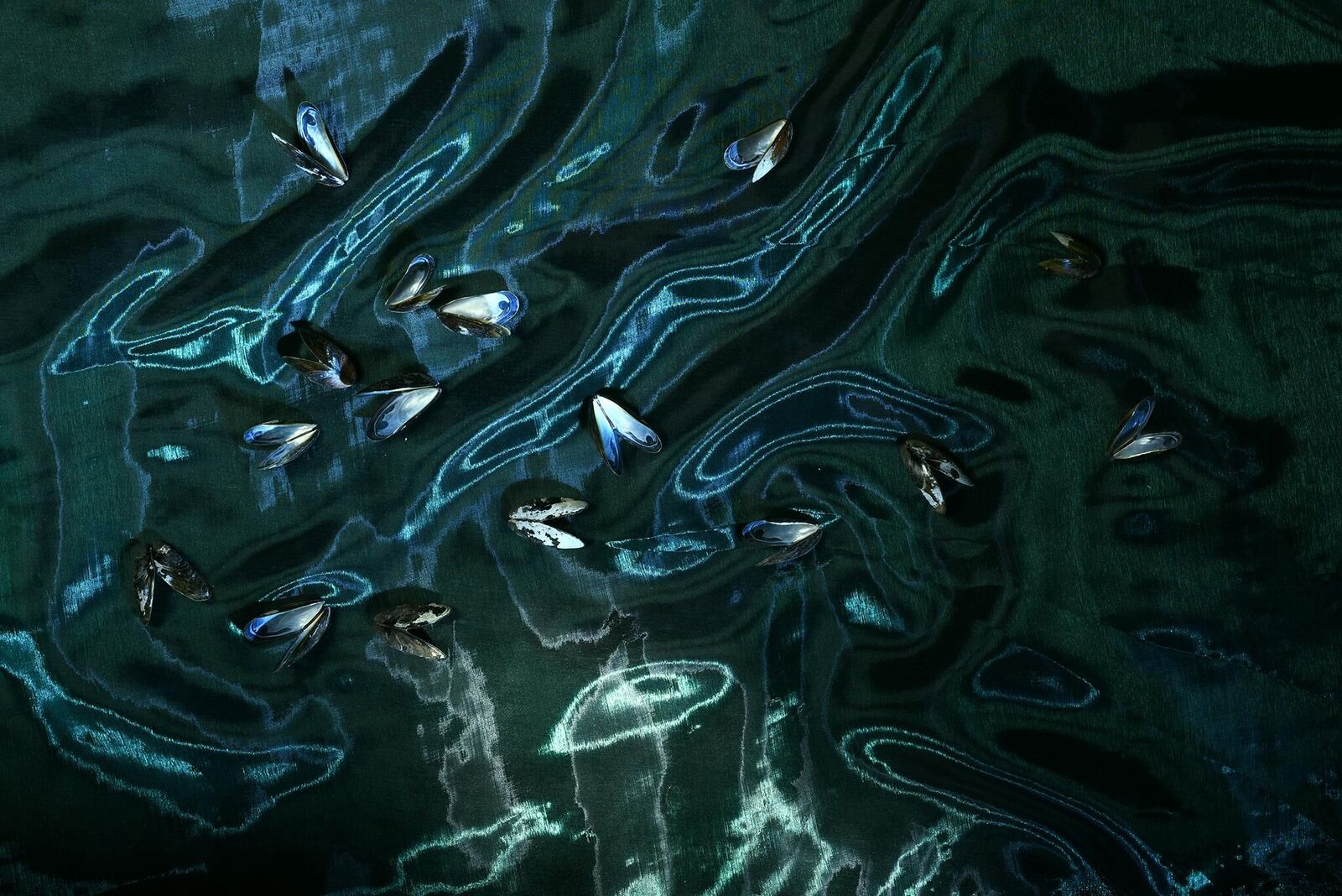 Titelbild des Projekts I pretend that I belong here