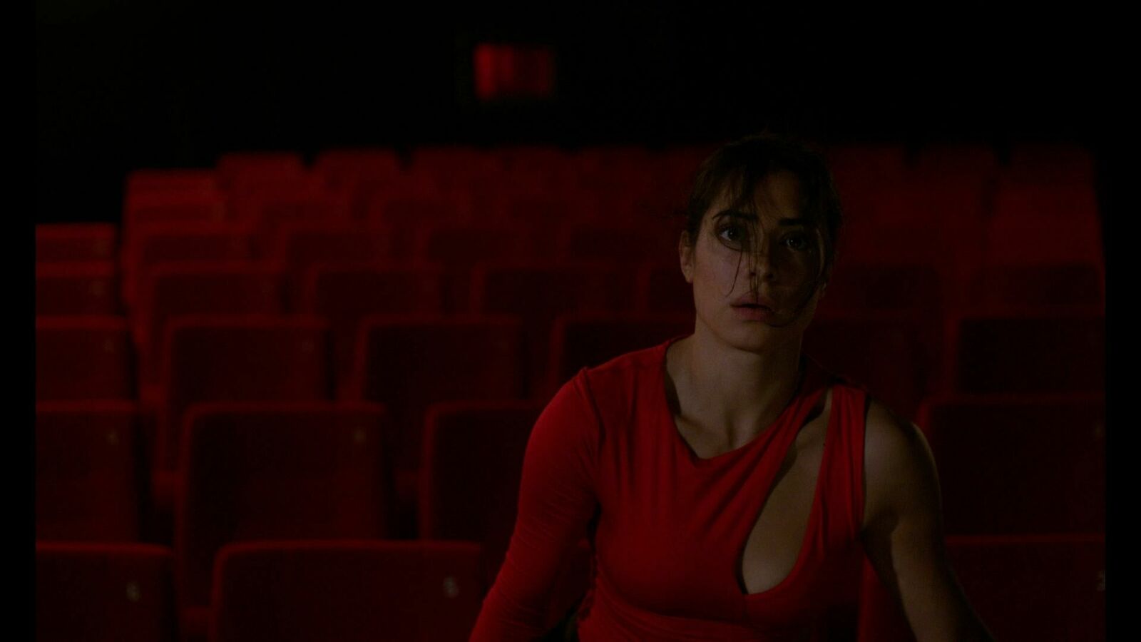 Titelbild des Projekts Katzenbellen