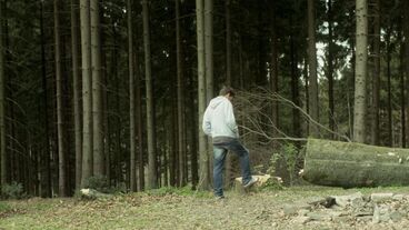So fern so nah Galeriebild des Projekts So fern so nah