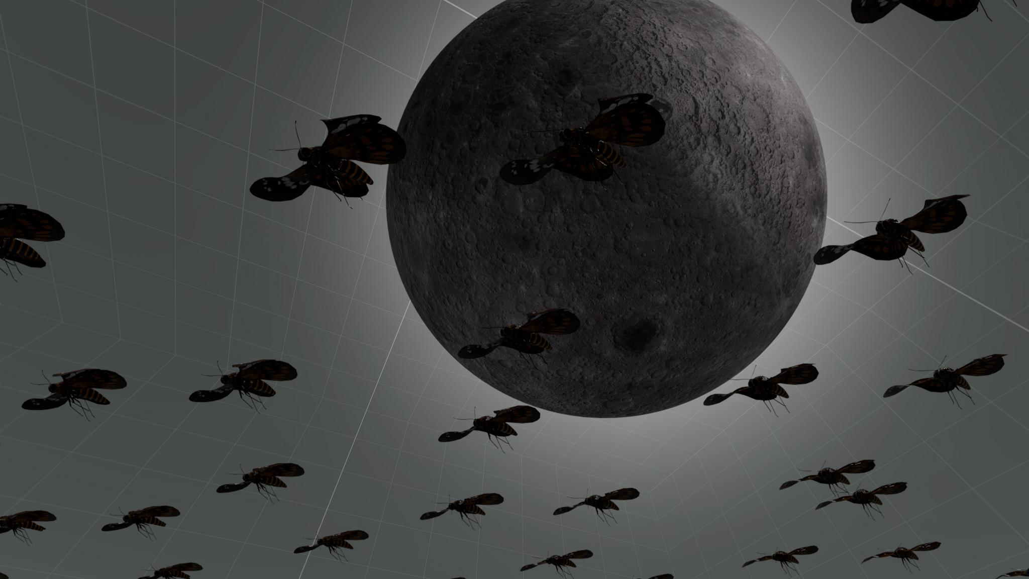 I could once speak under two moons Galeriebild des Projekts I could once speak under two moons