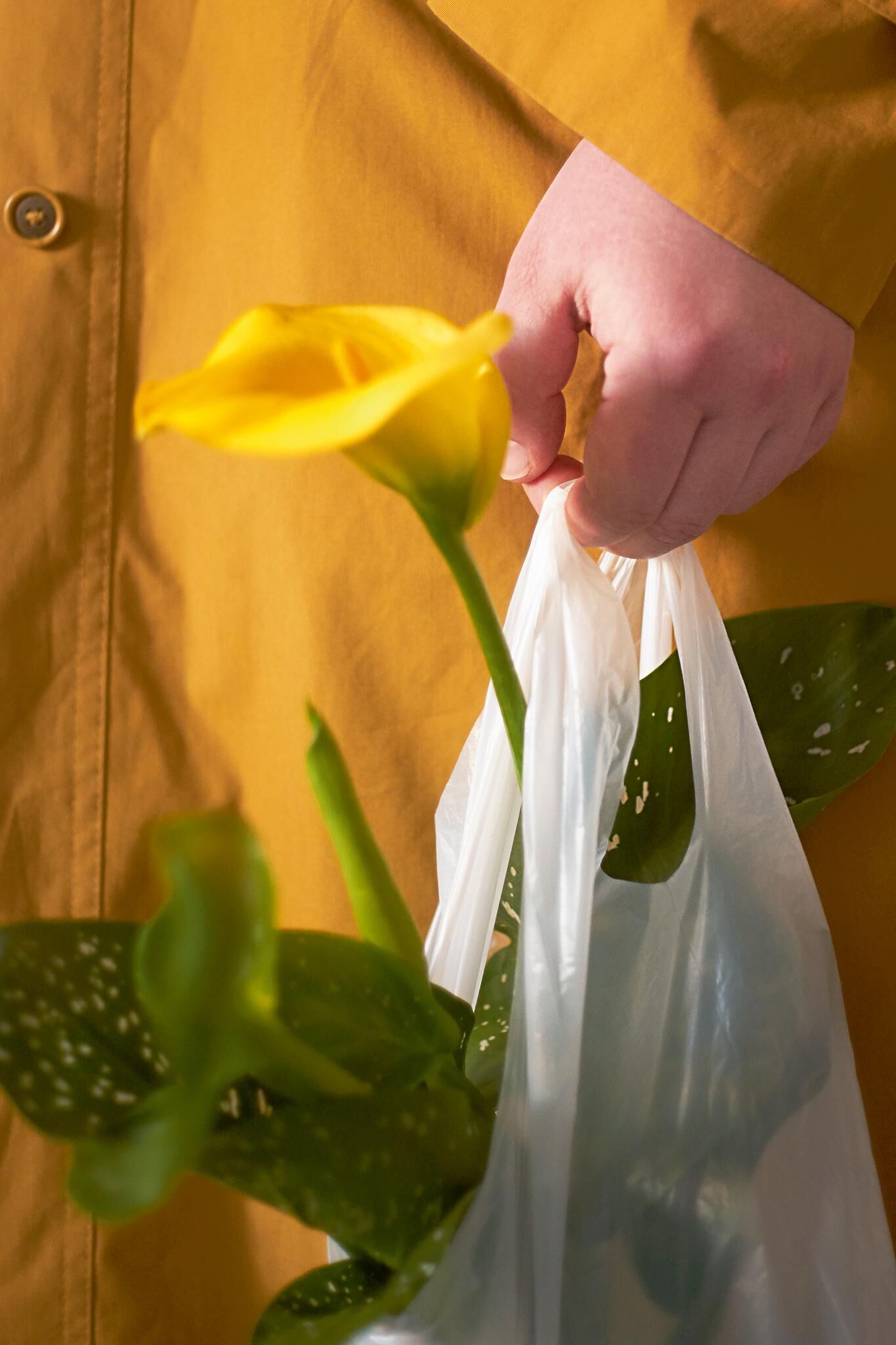 Galeriebild des Projekts Innenleben