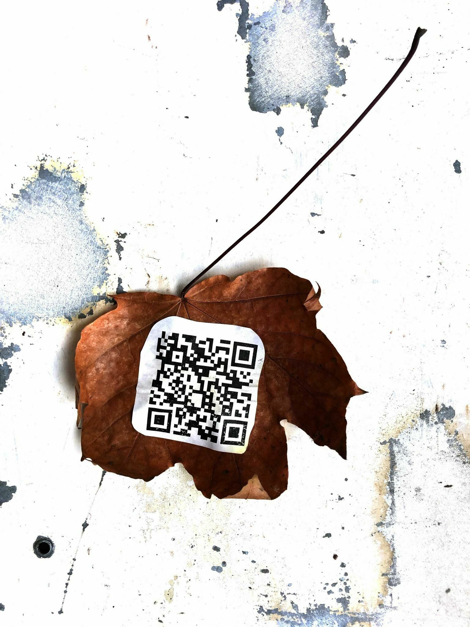 Galeriebild des Projekts Kollektives Klopfen