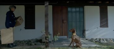 Galeriebild des Projekts S’Tuntschi vo Juf 