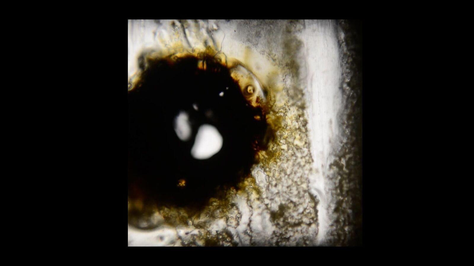 Galeriebild des Projekts Der Körperflicker 4