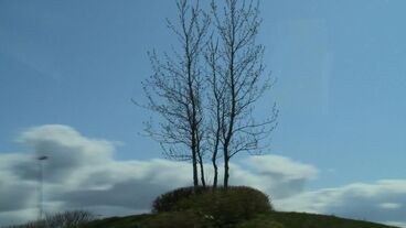 There is no real way of knowing Titelbild des Projekts There is no real way of knowing