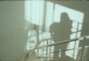 Galeriebild des Projekts I carry them in me