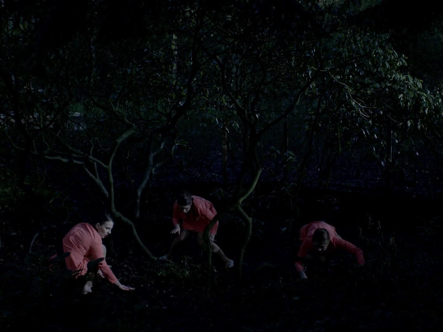 Galeriebild des Projekts Ein bisschen Gemurmel aus dem Wald