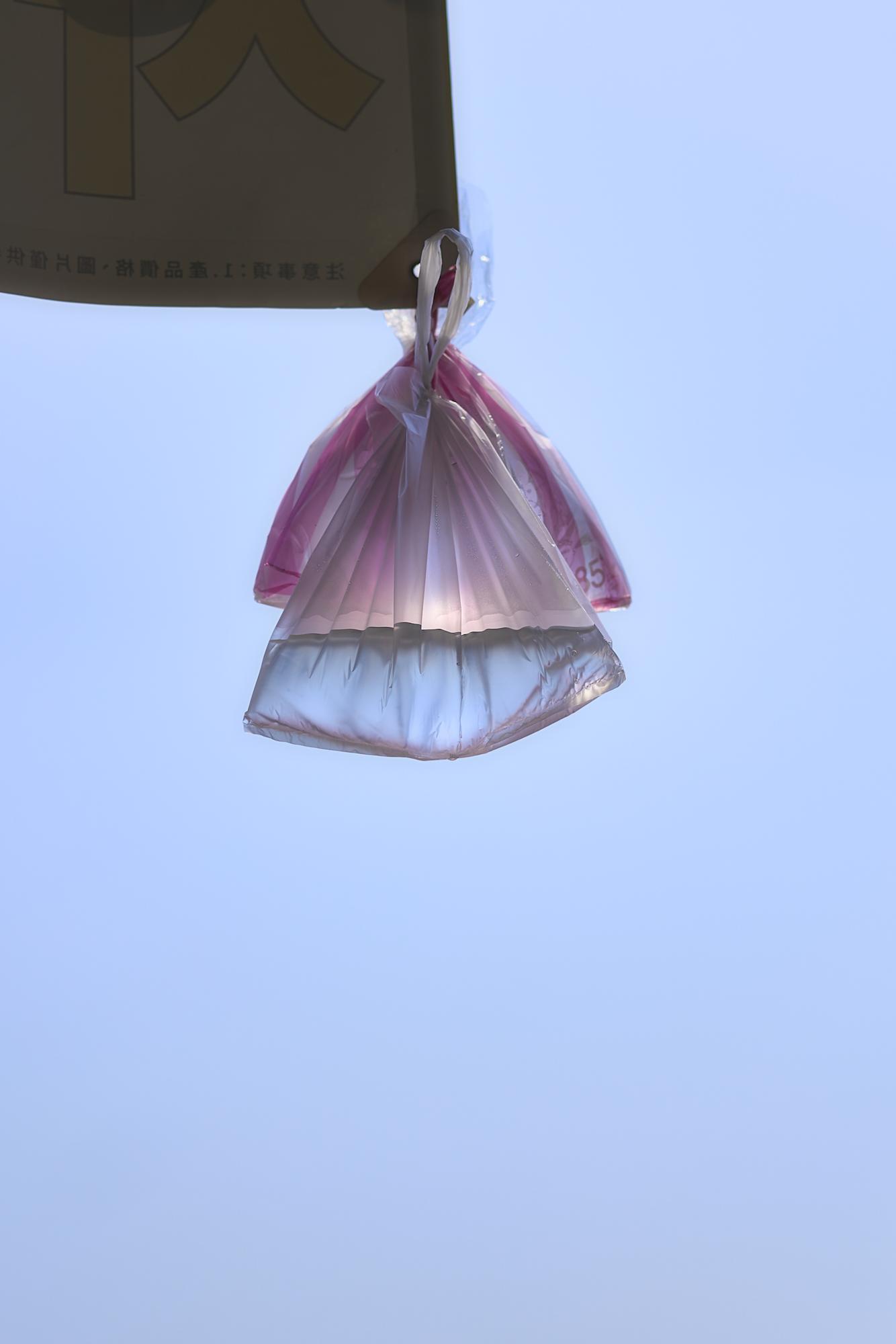 Galeriebild des Projekts Purple Thorn