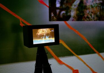 Pasajera Nocturna Galeriebild des Projekts Pasajera Nocturna