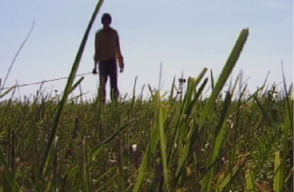 Galeriebild des Projekts Brambory Fever 