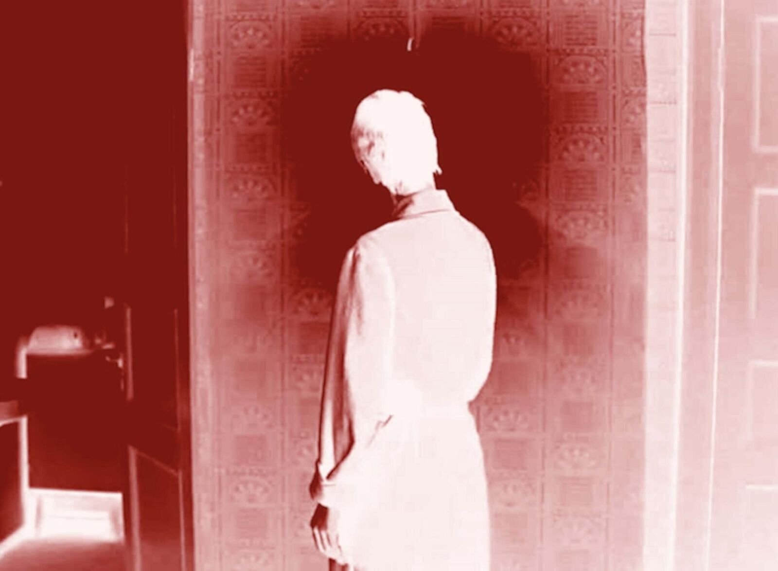 Titelbild des Projekts Lap Dogs