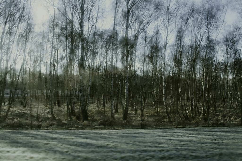 Galeriebild des Projekts Kameraarbeit im Dokumentarfilm