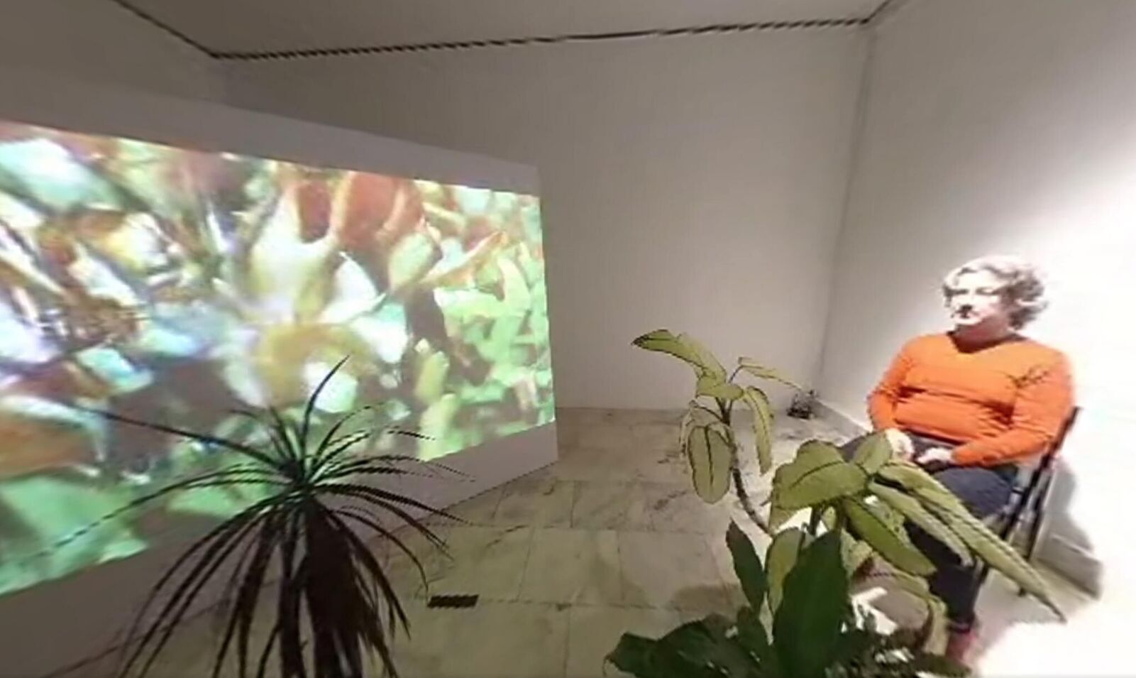 Galeriebild des Projekts Svan/Nectar