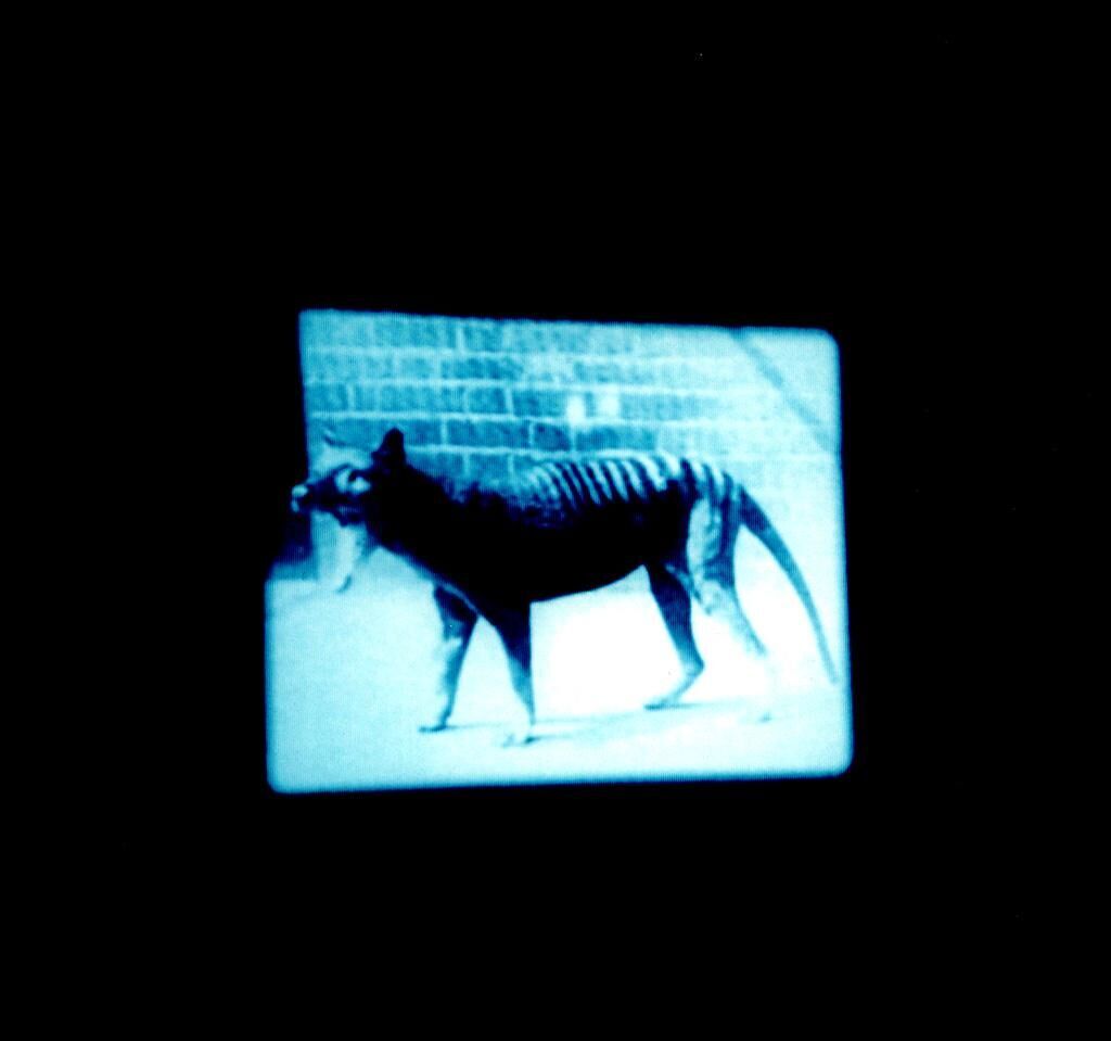 Titelbild des Projekts Perfect Sculpture