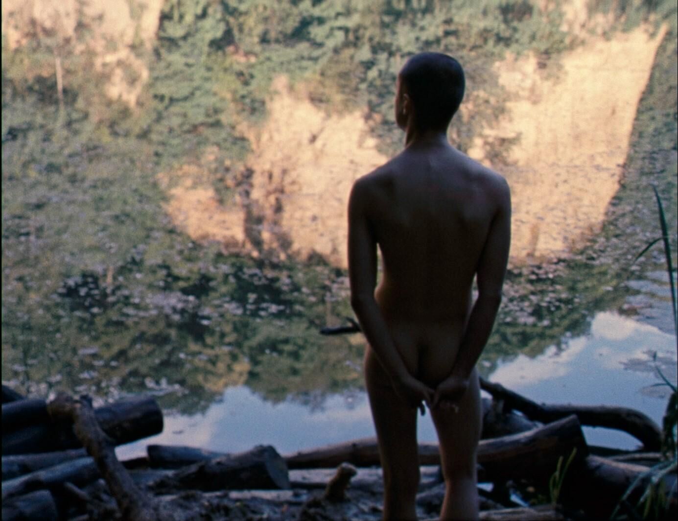 Titelbild des Projekts Picnic at Hanging Rock