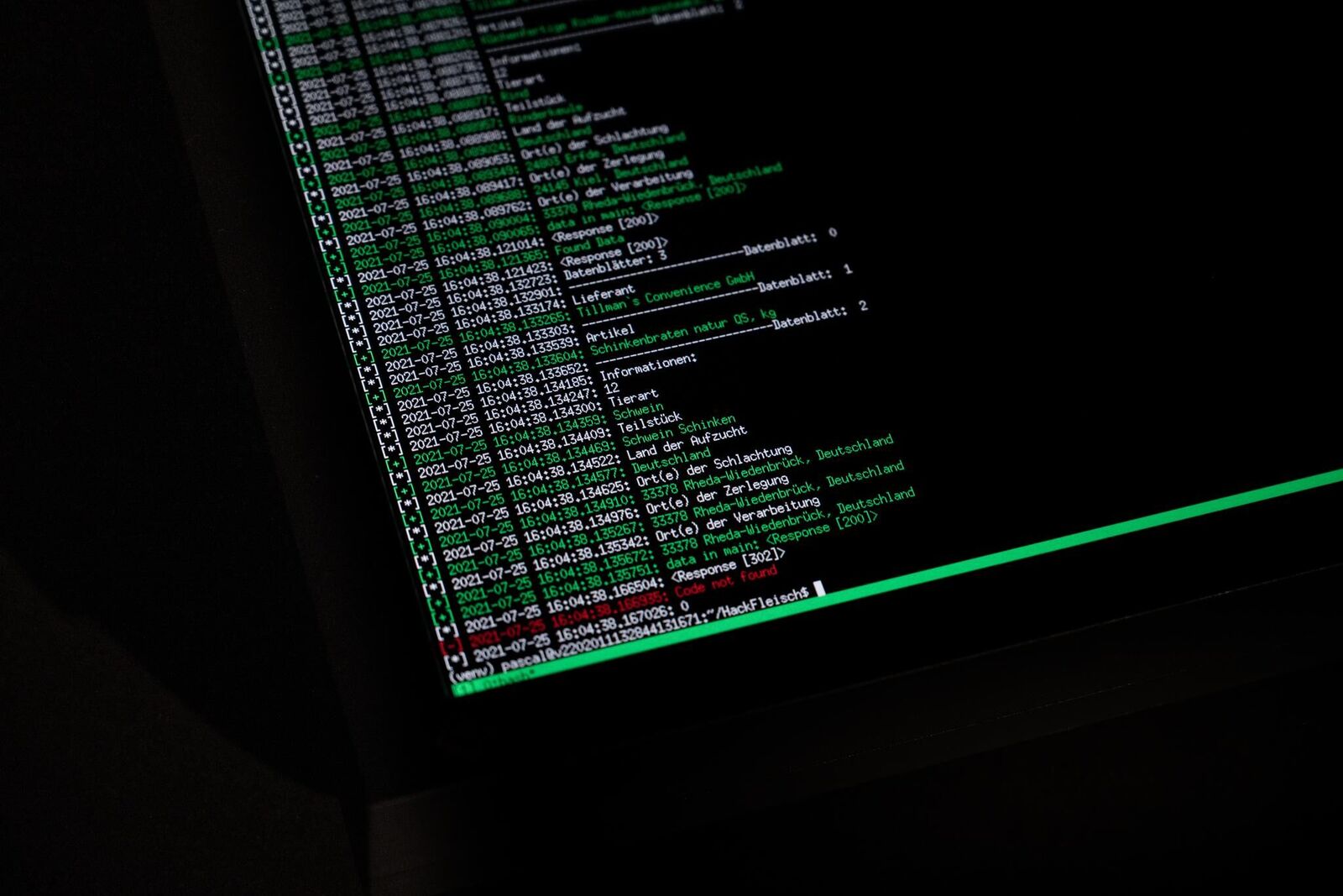 Galeriebild des Projekts Live Stock / Live Animals