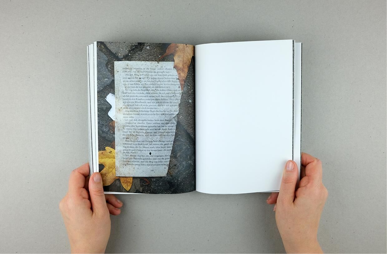 Galeriebild des Projekts Ich könnte fortgehen Roman