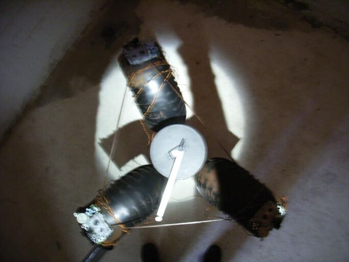 Titelbild des Projekts Schmarotzer